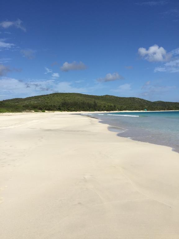 Naniqui Cottage - Only Adults -Parking Golf Car Only Isla Culebra Exteriör bild